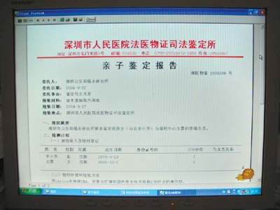 深圳親子鑒定全國最火 婚前性生活是主因(圖)-新聞中心