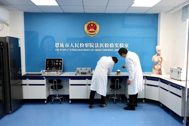 一部一品⑨|做強法醫文證審查,守住辦案質量生命線