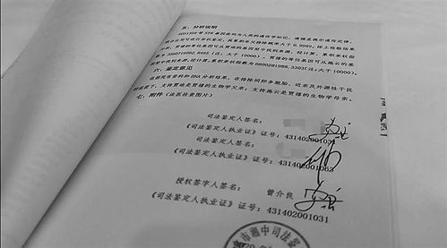 假名假指紋假血樣鑒定成 親子關(guān)系