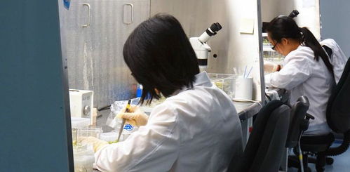 從年薪30萬到月薪4千 非婚生女撫養費怎么算