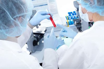 周口醫(yī)院親子鑒定服務(wù)詳解