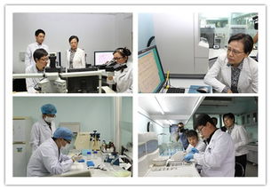 國家級司法鑒定機構建設促進會順利召開，法醫司法鑒定成為焦點