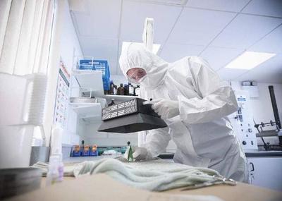 法醫究竟算不算醫生？成為法醫后要做哪些事？法醫司法鑒定的真相讓人難以置信