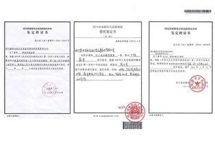 九宮格營(yíng)銷 中小企業(yè)網(wǎng)絡(luò)推廣與法醫(yī)司法鑒定的創(chuàng)新融合